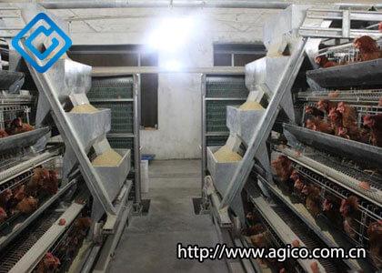 Why You Should Consider Switching to Automatic Poultry Feeder for Broiler